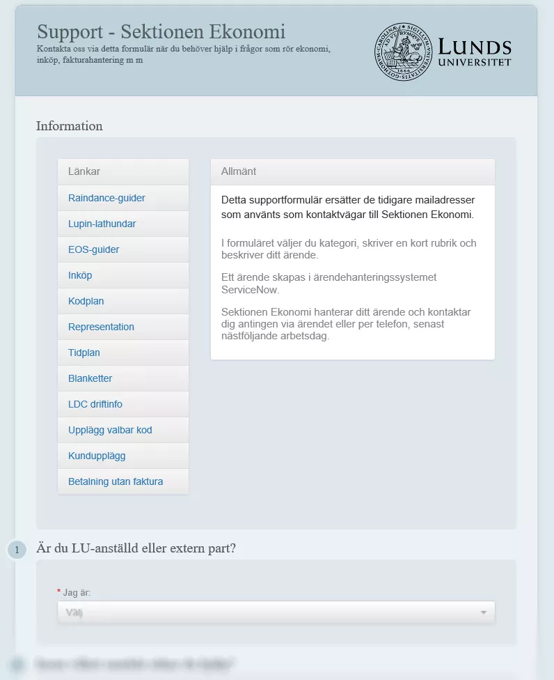 Skärmbild av sektionen Ekonomis supportformulär.