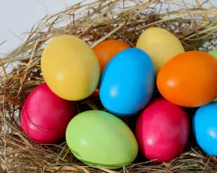 Färgglada ägg i ett fågelbo.